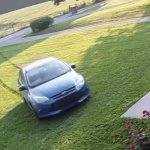 109527603-15920697-Surveillance_footage_shows_a_blue_Toyota_leaving_the_road_and_cu-a-275_1782207068733
