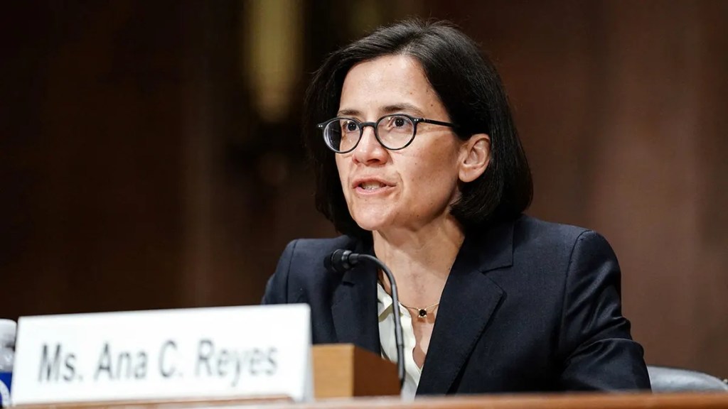 judge-ana-reyes